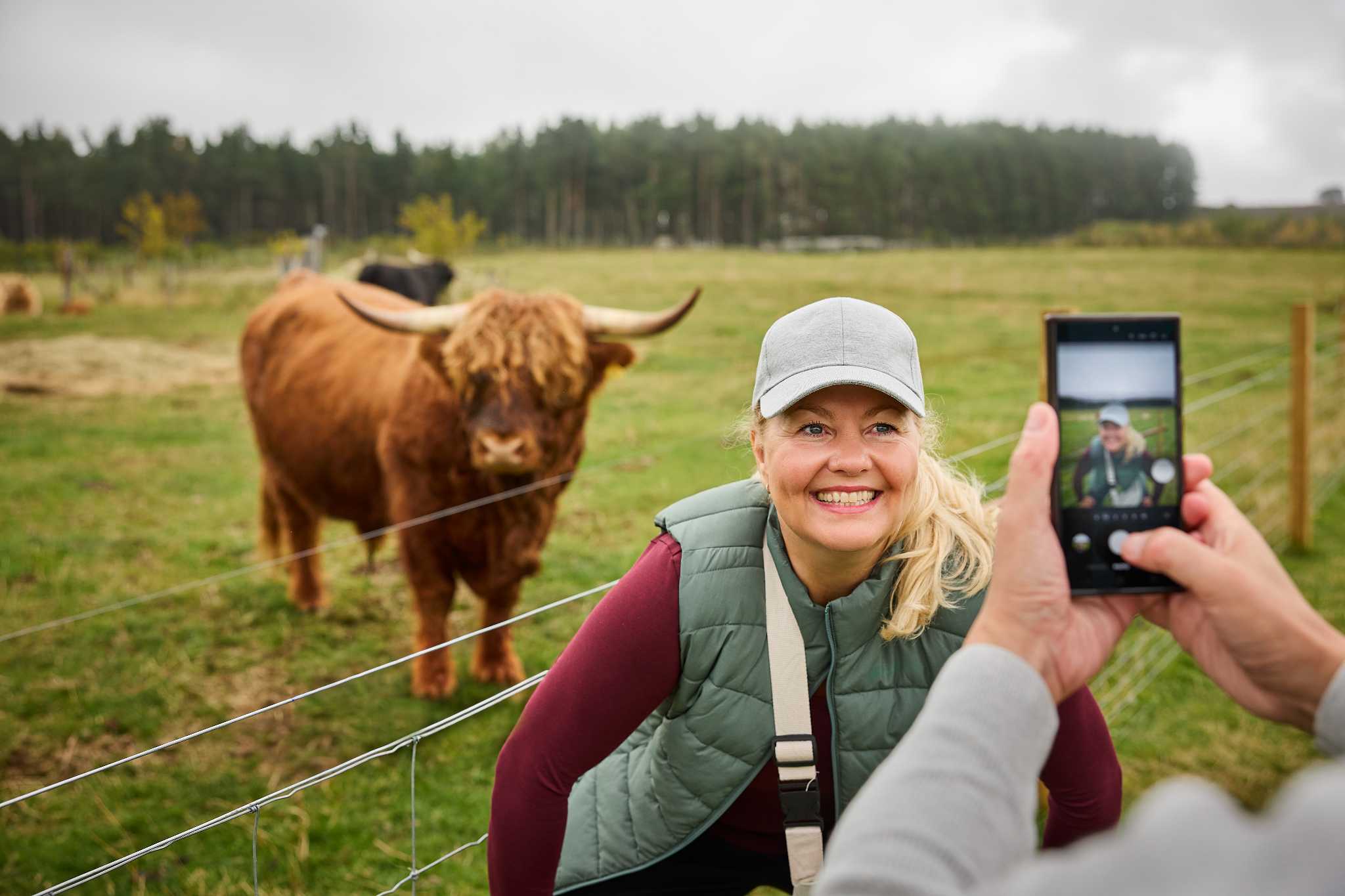 A smiling lady poses in front of a Highland cow while her photo is taken by someone with mobile phone.