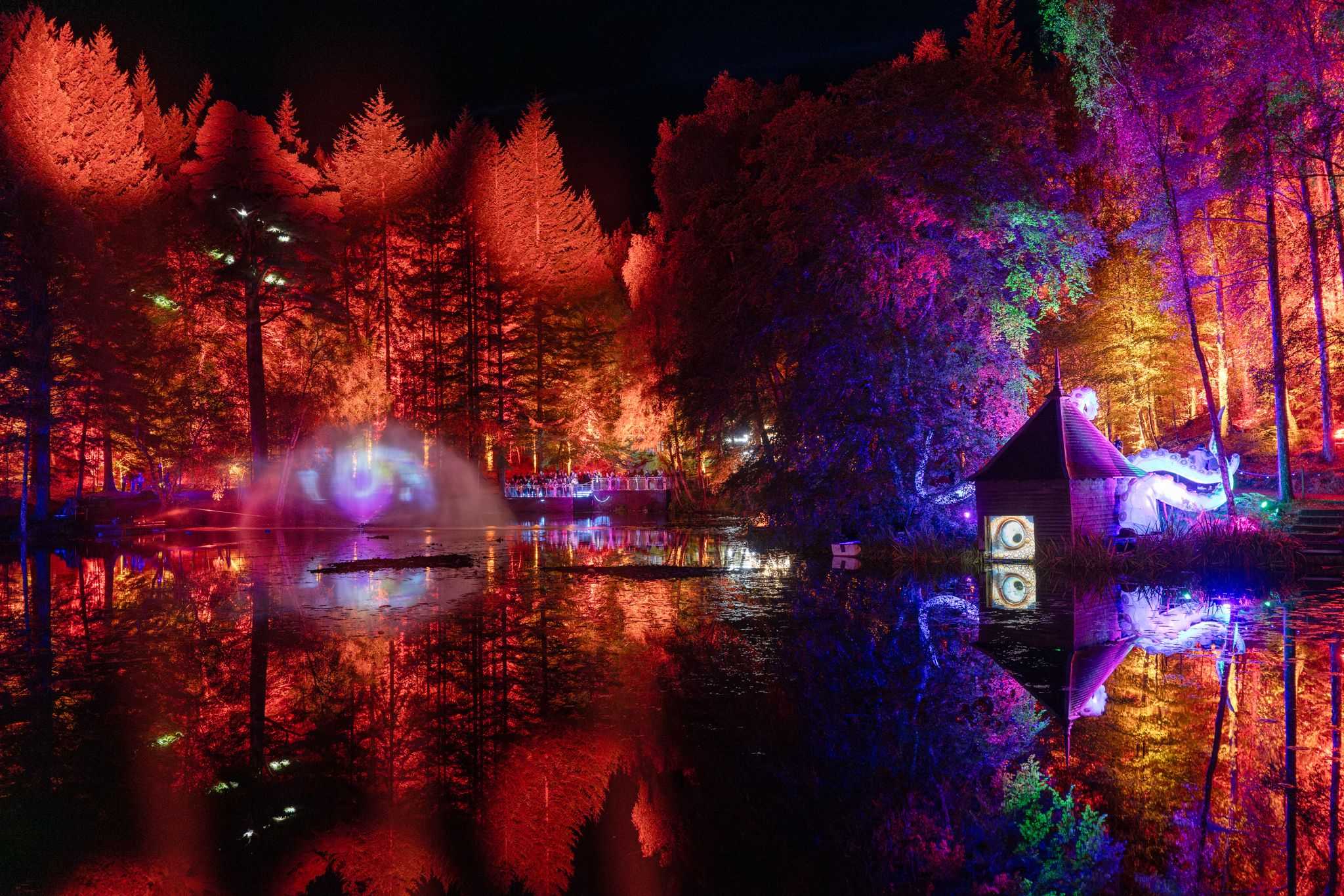 A night-time forest is lit with red atmospheric lighting.