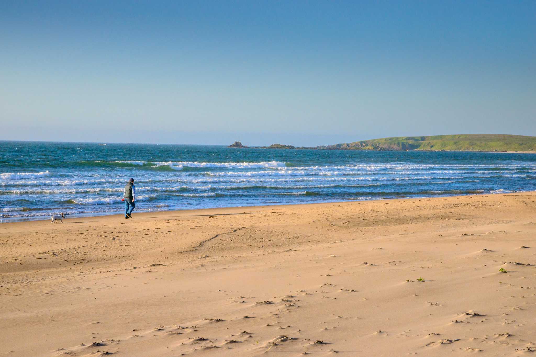 On a deserted sandy beach a man walks his dogs and the waves roll in
