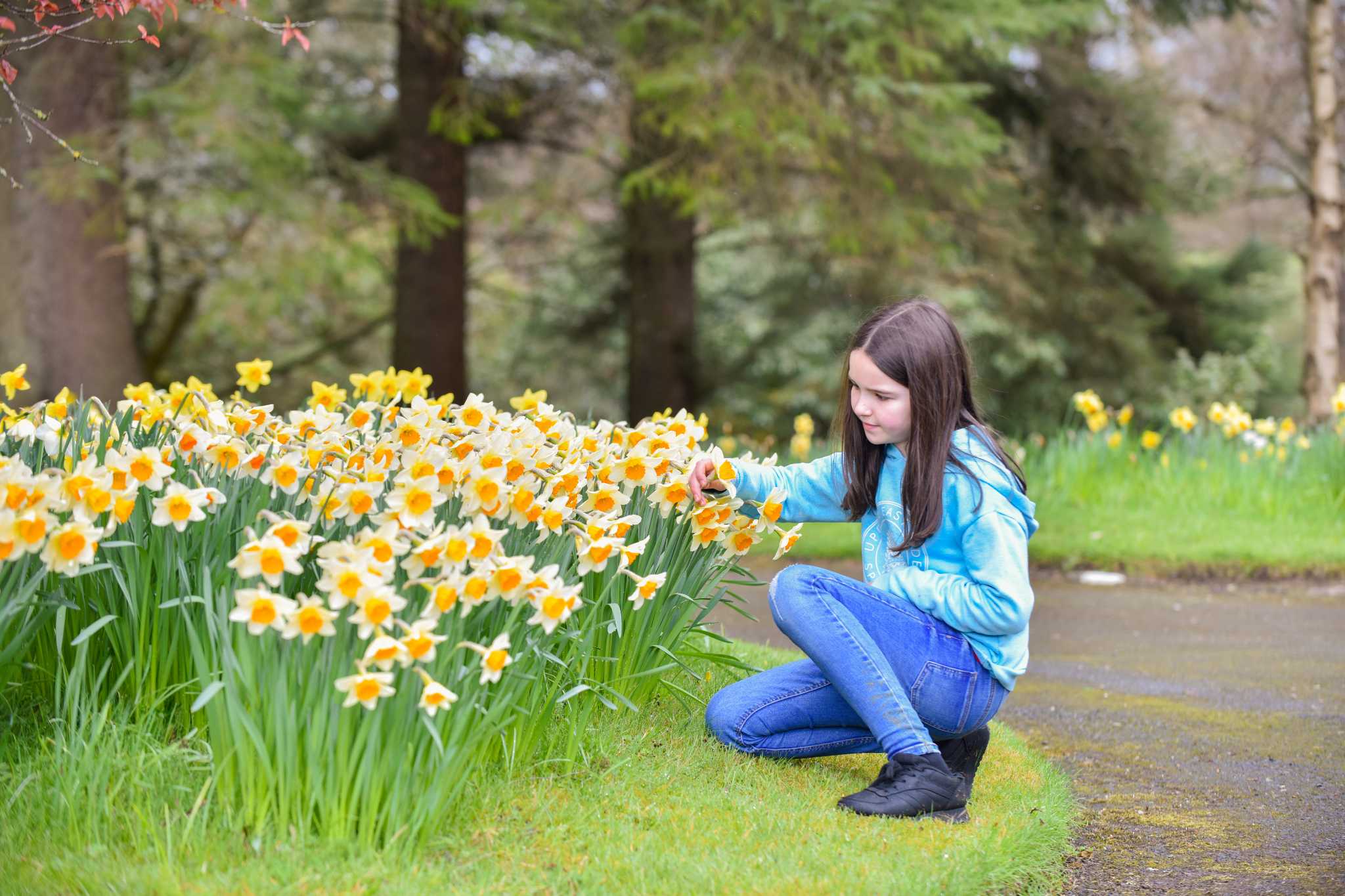 A young girl kneeling down to look at daffodils