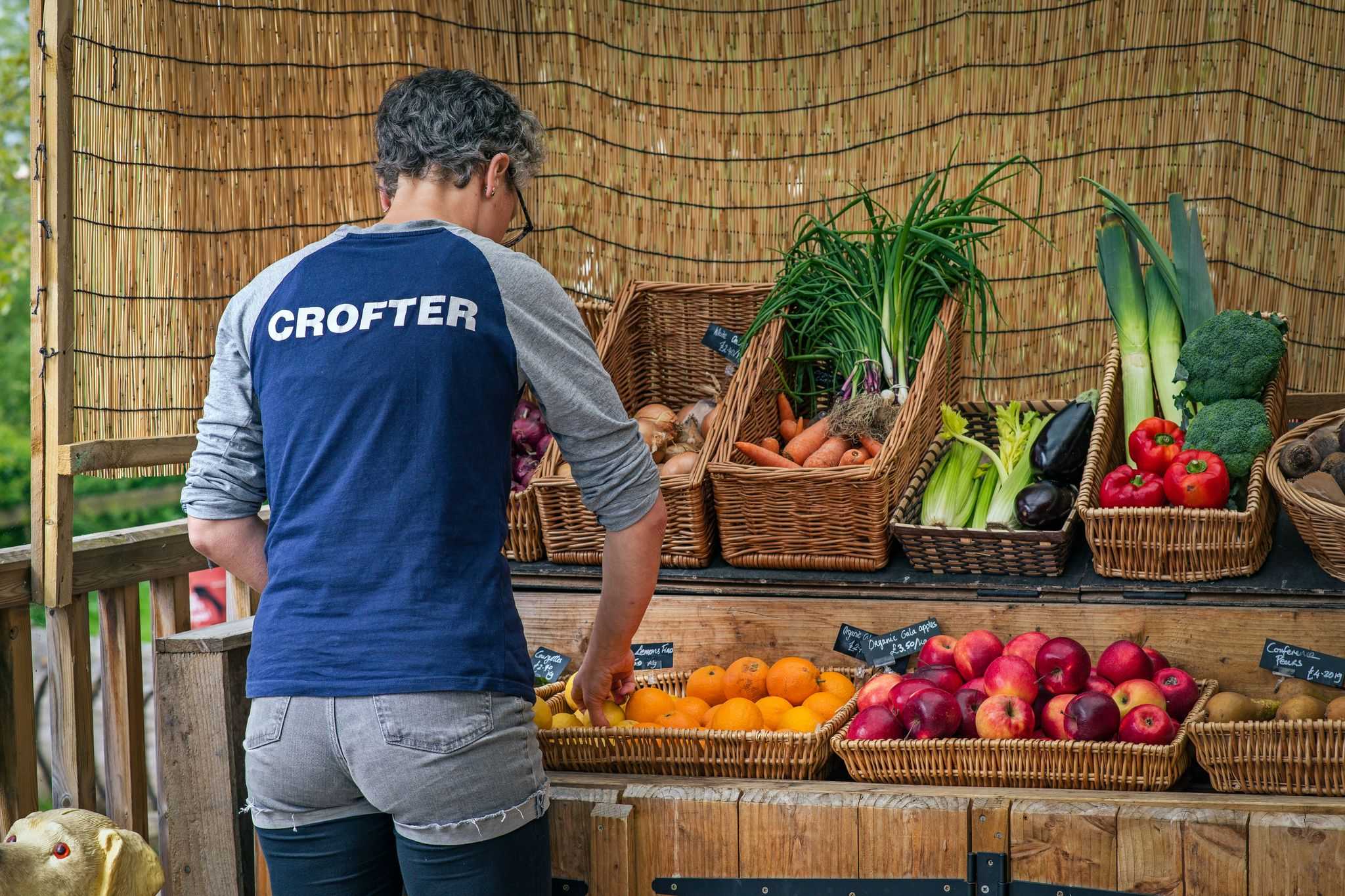 Sorting produce at Comrie Croft