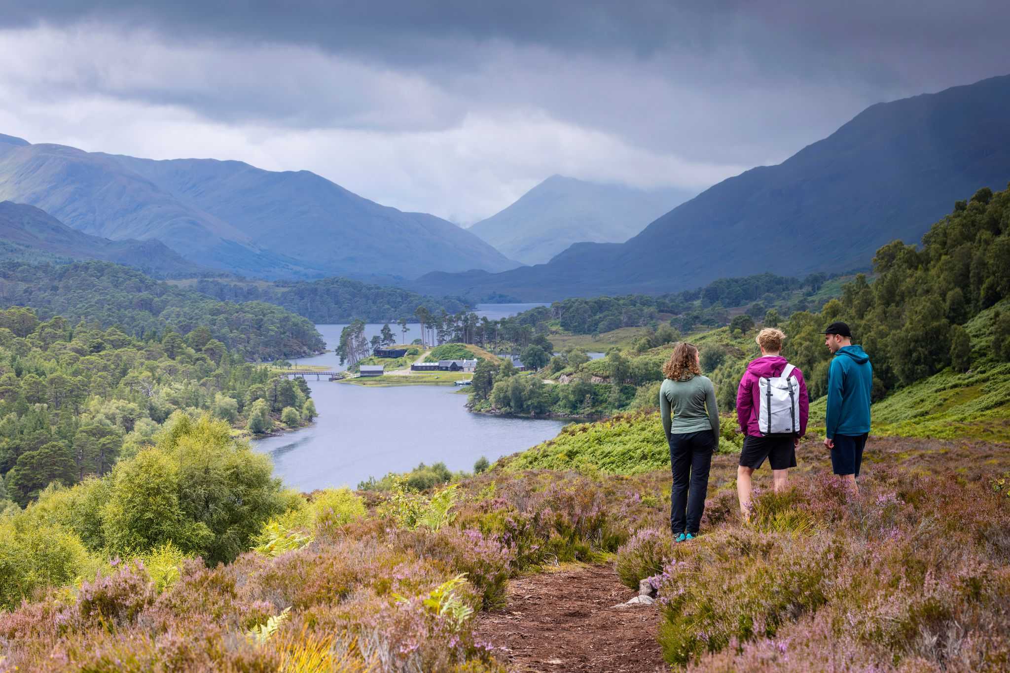 Glen Affric