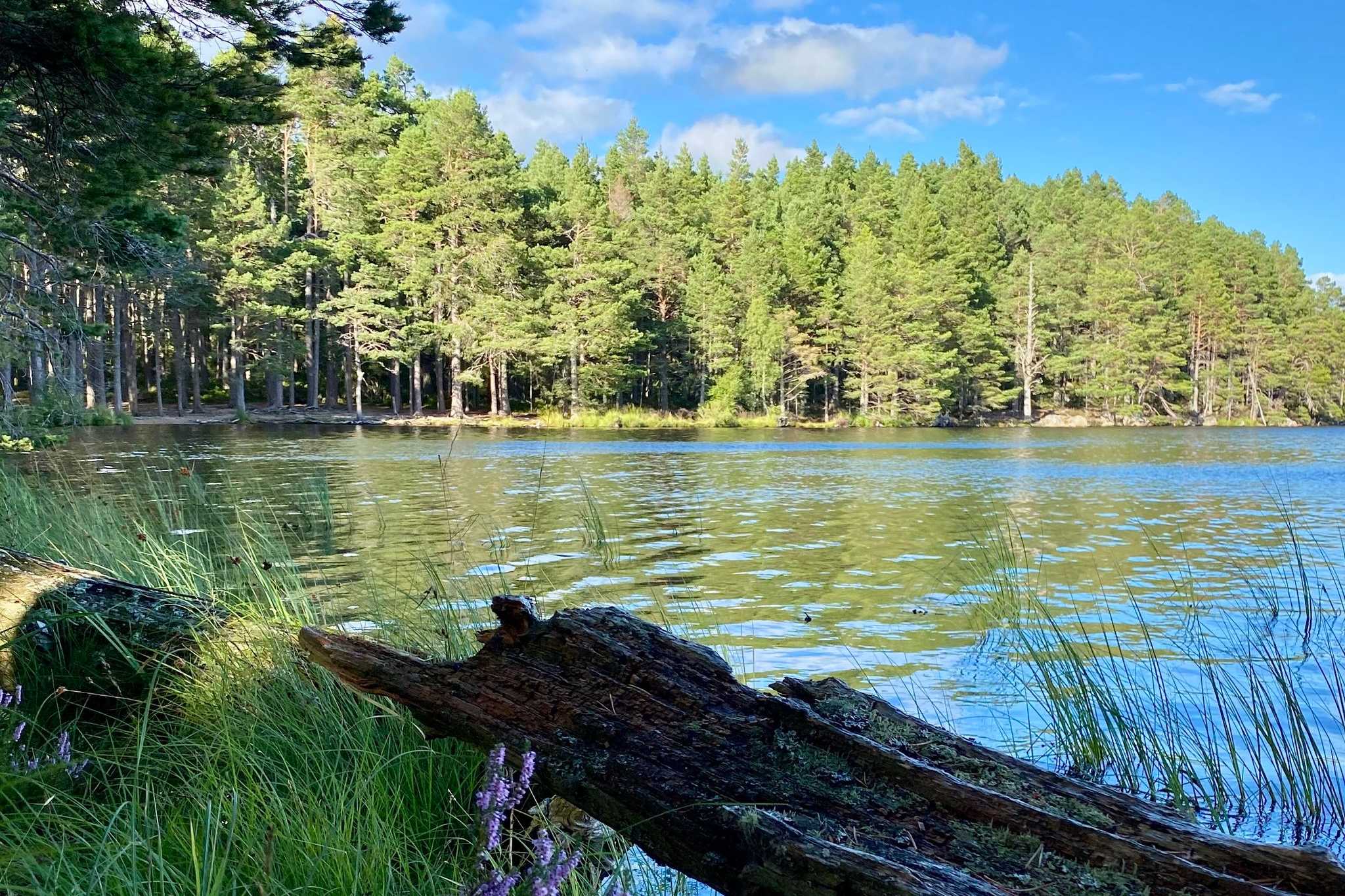 looking across an idyllic loch on a sunny day