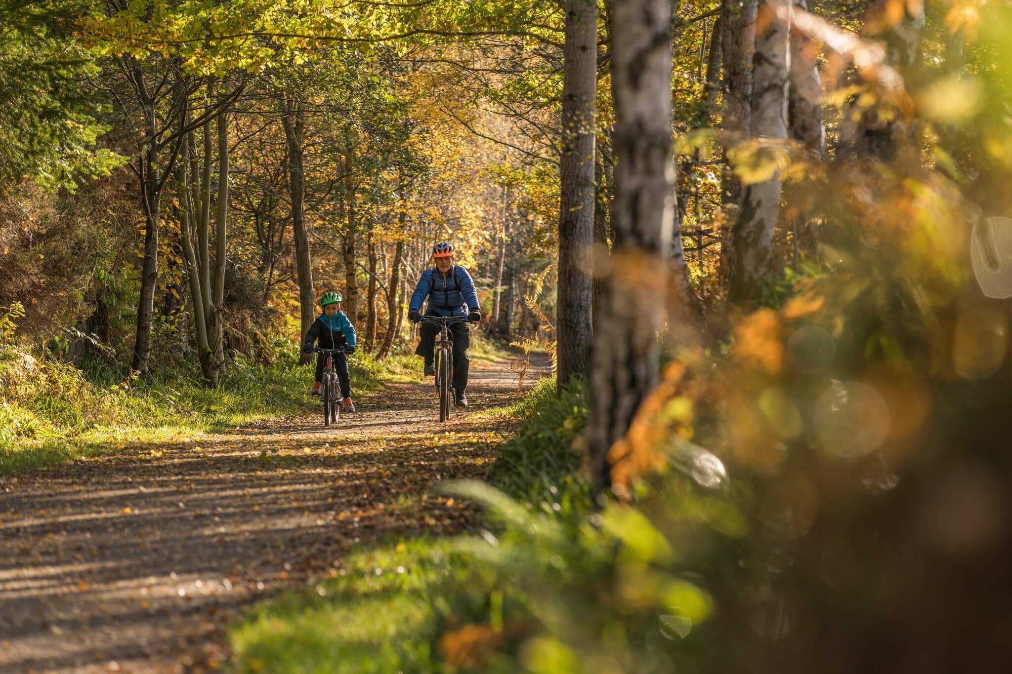 Man and child cycle along a wooded path