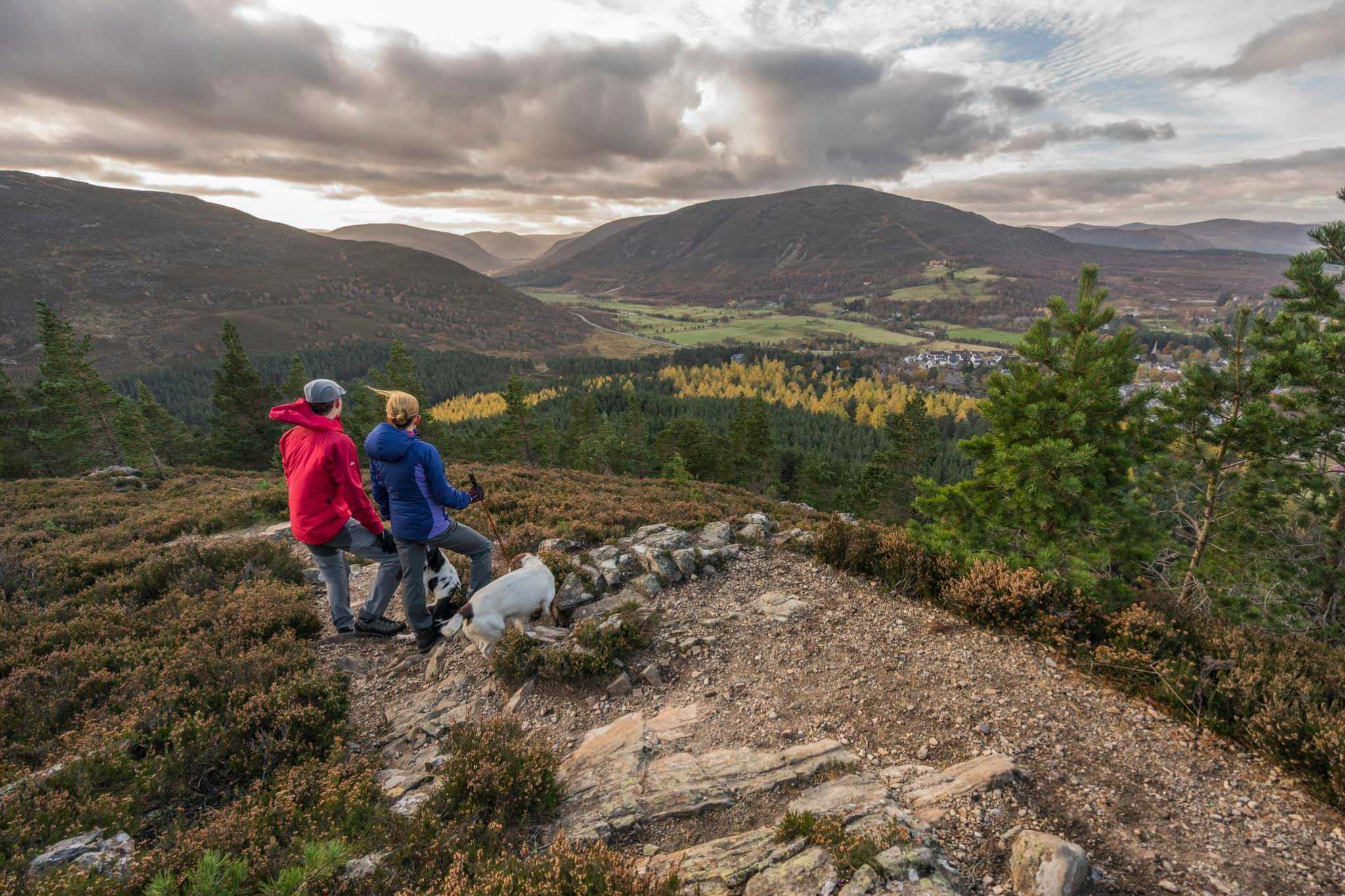 Two hillwalkers and their dogs enjoy a walking trip up Creag Choinnich; a hill above the Braemar village.