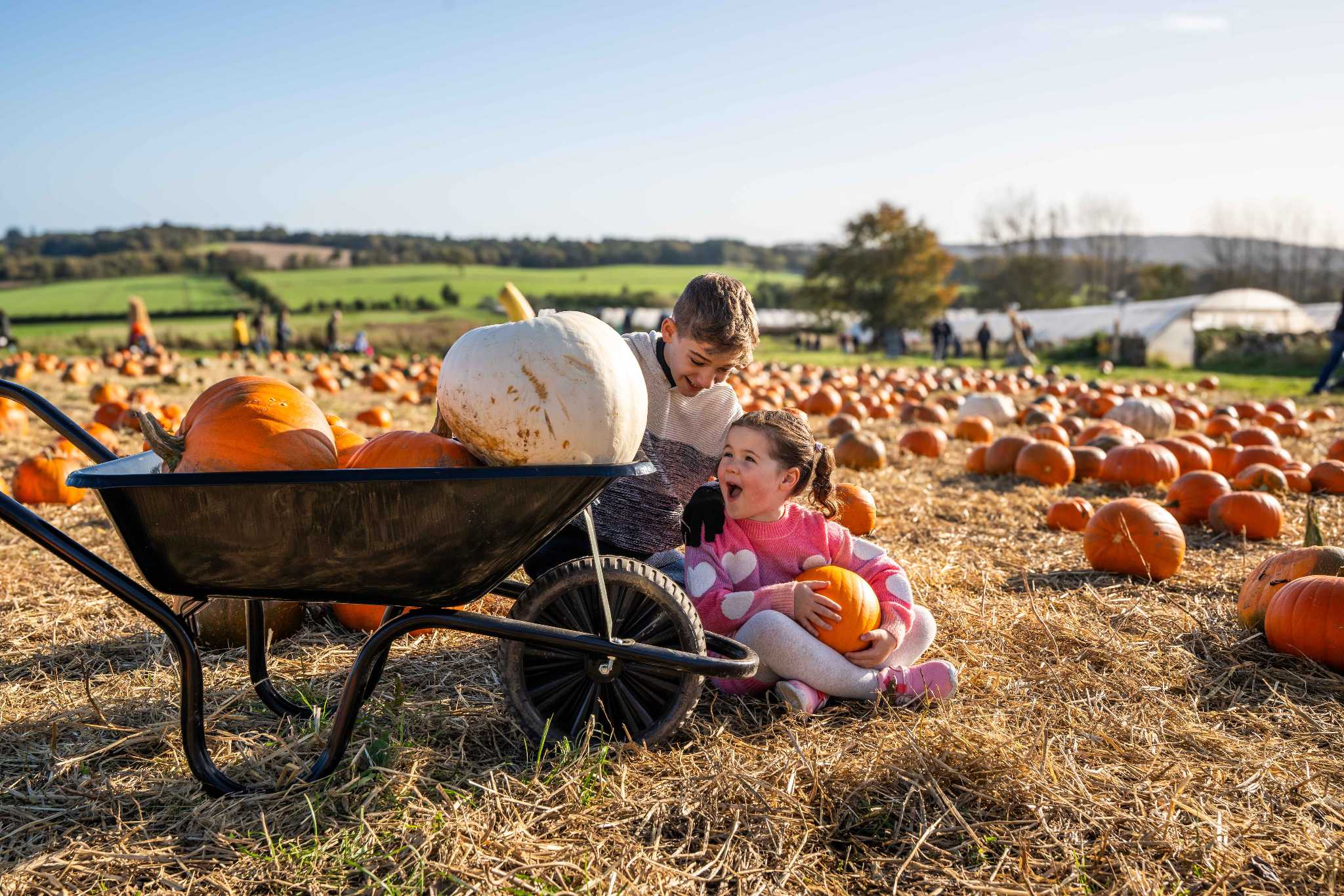 Two children sit beside a wheelbarrow full of pumpkins in a pumpkin patch.